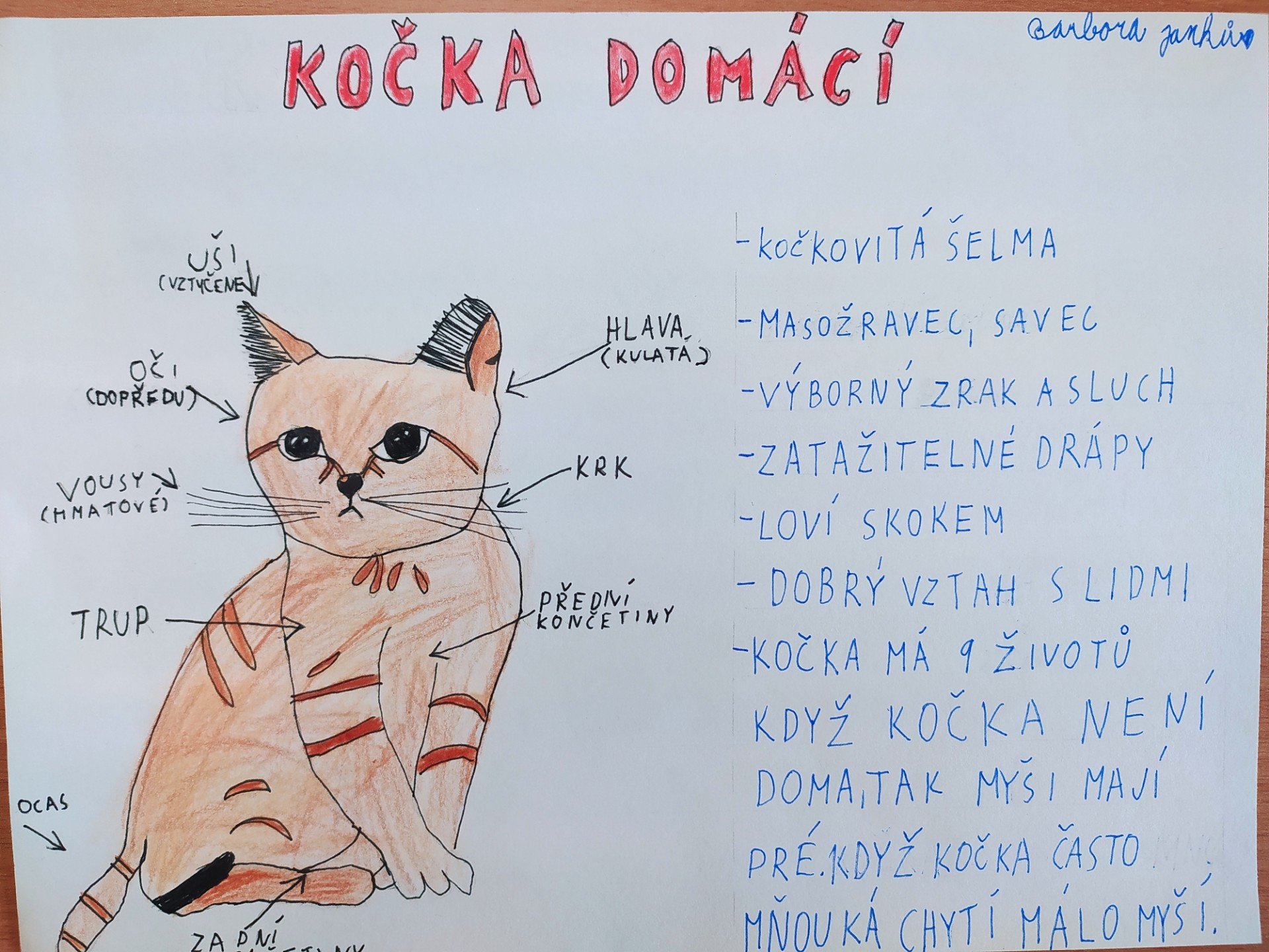 Dobrovolný úkol z JČ