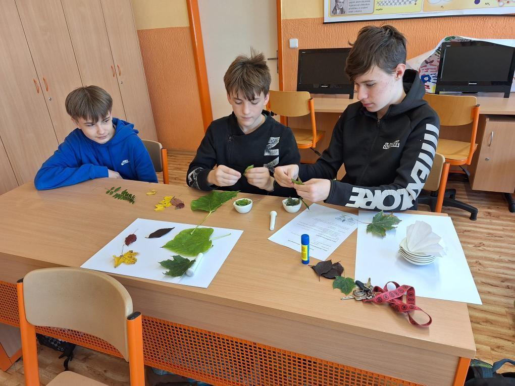 Podzim v chemii - chromatografie listových barviv