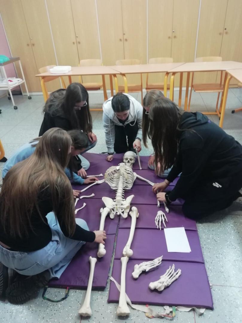 Projektový den na SŠPHZ