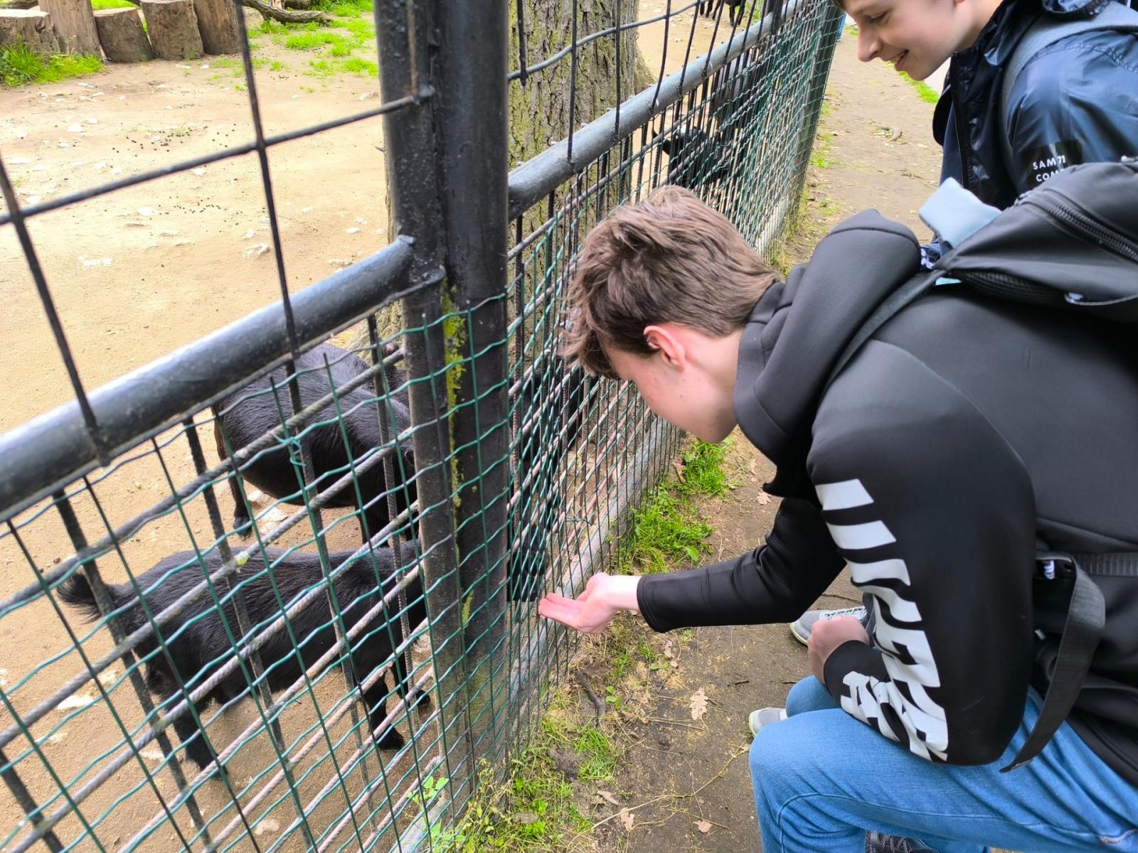V hodonínské ZOO