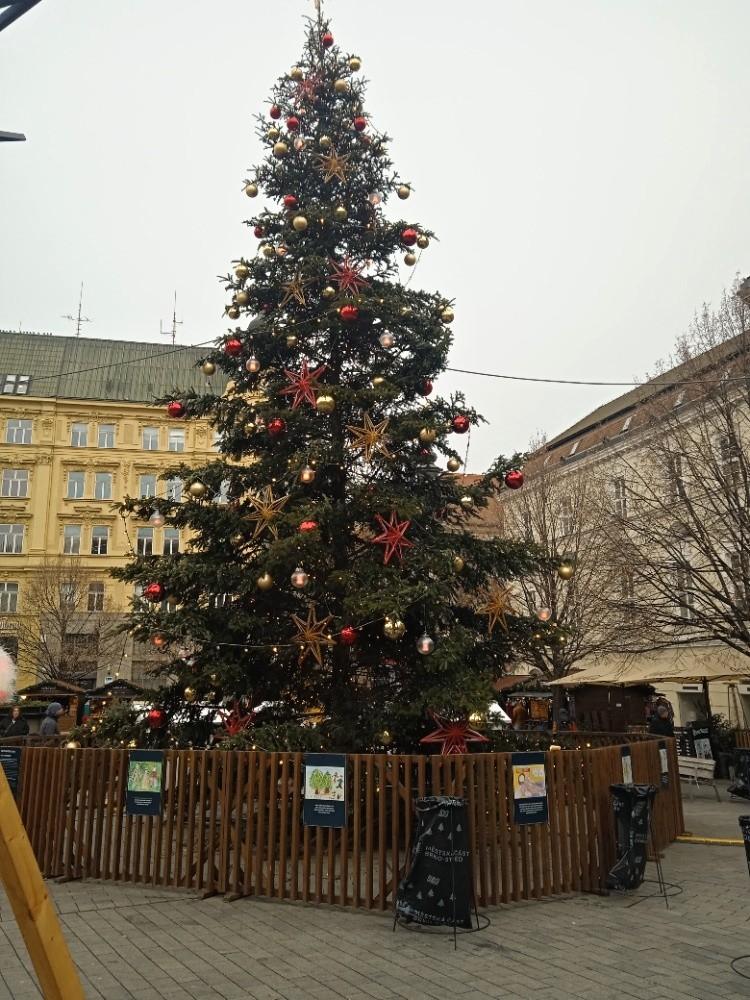 Adventní výlet do Brna