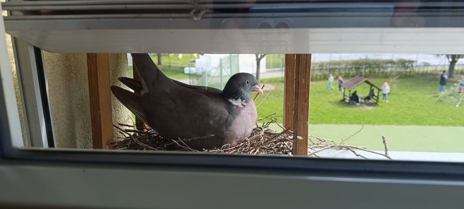 Máme nové spolužáky