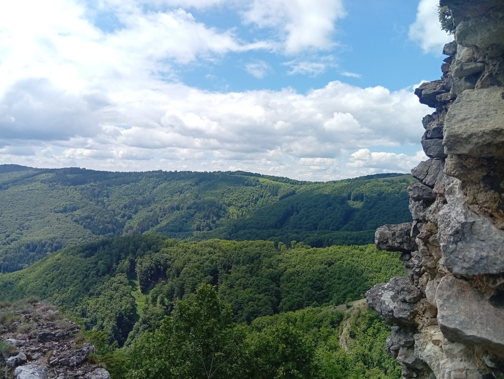 Sidonie - čtvrtek