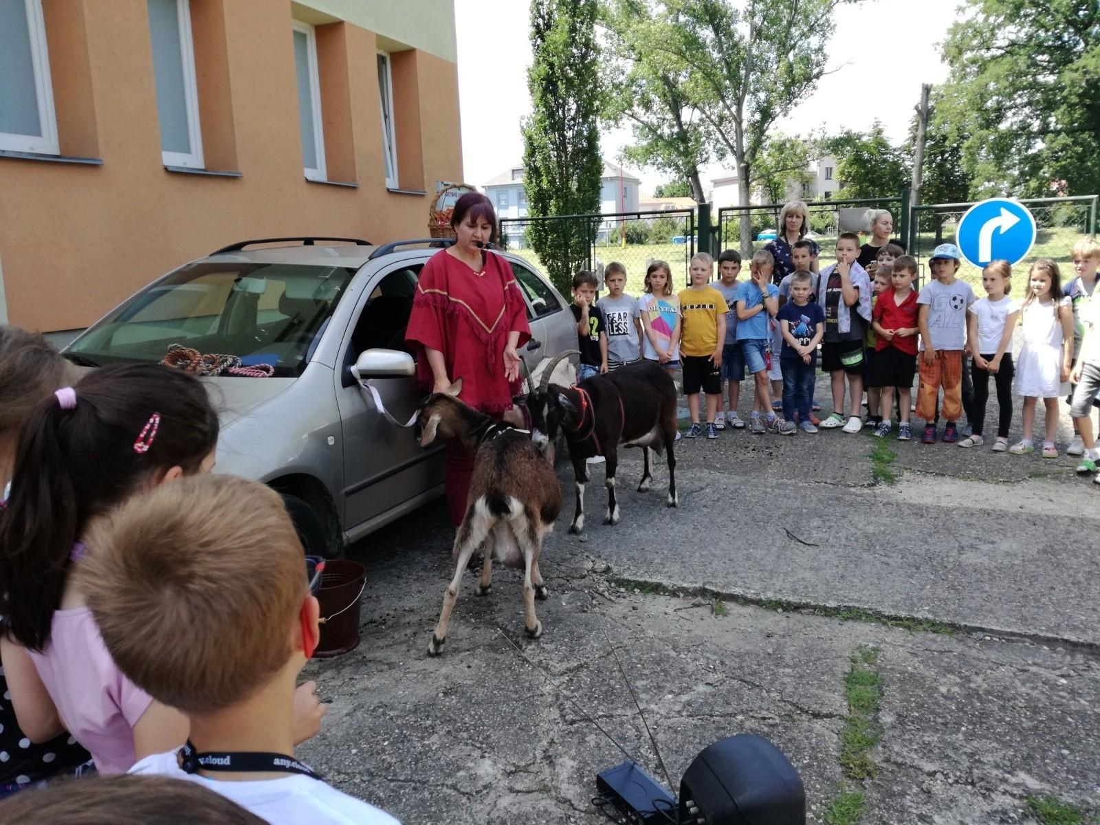 ŠD - PŘEDSTAVENÍ TANEC S KOZOU