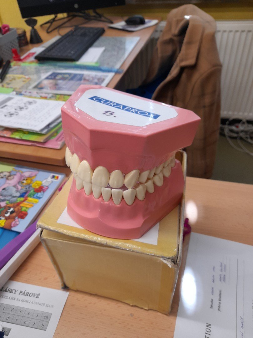 Zdravé zuby = krásný úsměv
