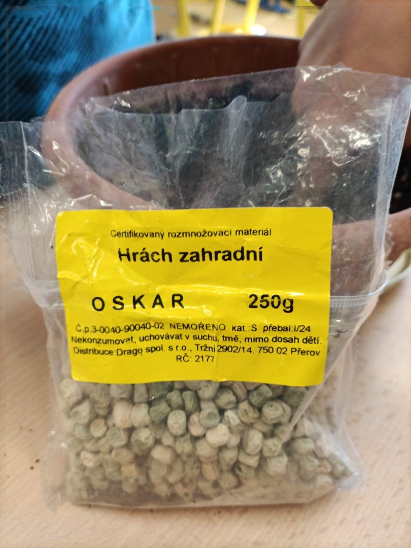 Sejeme hrášek, vyroste nám Oskar?